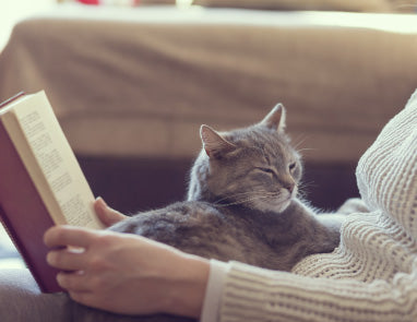 5 Signs That Your Cat Loves You